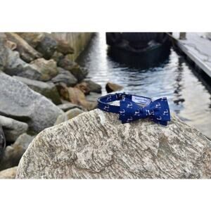 COASTAL TYES Massachusetts 100% Silk Cape Cod Nantucket Marthas Vineyard Bow Tie